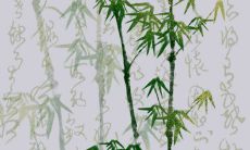 2023年元宵节出生的宝宝拥有独特的命运和运势,值得关注!