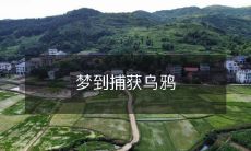 在梦中逐影而行:探究心灵深处的神秘与矛盾,启示灵感的源泉——梦中捕获乌鸦的寓意和象征意义