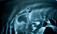 面相大师揭秘:何种特征的人具有水滴状人中面相?