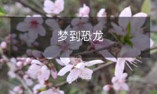 在梦中与逼真恐龙的遭遇:生动而惊险的梦境回忆