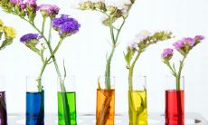 究竟哪种颜色最适合火命人?探究最为吉利的招财色底蕴,向您推荐!