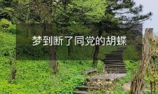 我做了一个梦,梦见与同党的胡蝶破裂:一位梦想家的回忆与自我辩解