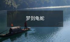 在梦中遇见龟和蛇，一起探索潜意识的奥秘的绚丽故事