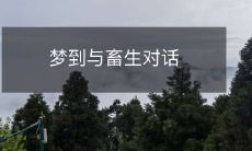 在梦中与非人类生物——畜生进行互动对话的奇特经验