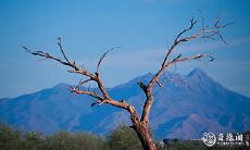 命运的高峰:详细探究90年农历6月1日辰时的神秘力量,揭示上等命的时辰特征