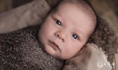 探究84年闰十月初六出生者的八字命理状况及运势展望 — 详解84年闰十月鼠运势