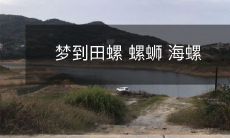 沉浸于美妙的梦境中：探索田螺、螺蛳和海螺的神奇世界