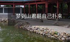 在梦中,我慑于山君的威势,惶恐不安地看着他慢慢地向我走来