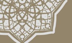 在2023年的生肖蛇运势中,有哪些值得把握的感情机会?