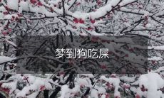 做梦观瞻:神奇景象之一——狗狗亲吻土壤,舔食屎便