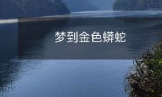 在梦中遭遇金光闪闪的蟒蛇:奇幻与恐惧的迷幻体验!