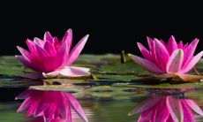 2023年的属兔人的命运如何?除了注意烂桃花,还有什么值得关注的事情?