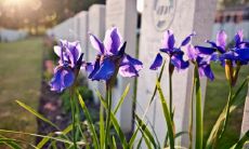 着孤独痣的人是否注定孤独终老?孤独痣的位置到底在哪里?