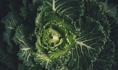 探究87年出生者火兔命运中缺失的要素——五行缺什么的命理解析查询