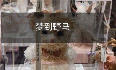 在广袤荒野中狂奔的激情之梦：我眼中的野马奔腾在无垠草原上