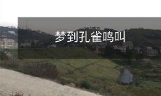 在梦境中听到孔雀的鸣叫声，醒来后的意义与象征意义如何解读？