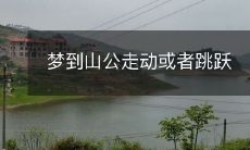 在梦中目睹山羊公正与轻盈跃跃欲试的画面