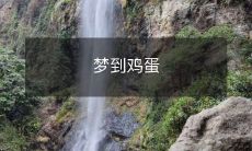 晨曦中想起的梦境:纷繁复杂的鸡蛋壳,透过几分光透射出神秘而缥缈的幻象