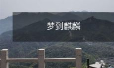 在梦中遇见神秘生物——麒麟,它带来了怎样的奇幻体验?