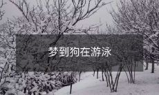 做梦时惊喜地发现狗狗正在游泳,它充满活力、自由地在水中嬉戏的场景让我兴奋不已!