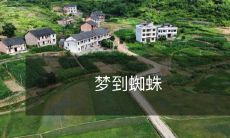 在夜晚的梦境中遭遇到大量蜘蛛,让你产生强烈的不安和情感波动的经历