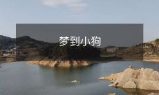睡眠中幻想:我在清晨梦见了一只可爱的小狗,追寻着它的温暖与快乐