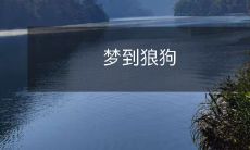 的梦境:在深山野林中遭遇狼狗,感受到的惊恐与迷茫