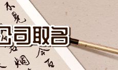 探索创新的四字科技公司命名:体现日本元素的企业名称