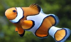 正月初十出生的人,请注意!揭开前世面纱:2023年你的人缘状况如何?