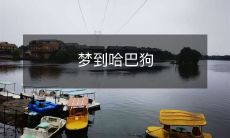 梦中的哈巴狗：一个关于萌宠和无限可能的奇妙故事