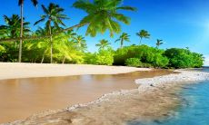 在描述鸡兔属相的契合性时,不同人对其想法可能会存在差异