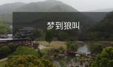 睡梦中惊醒,狼群嘶吼的惊恐体验:一位梦者的梦到狼叫回忆