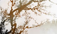 属兔正月十五出生的女孩好不好2023年 这一天有什么习俗