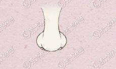 各种类型的鼻子图_你属于哪一种？