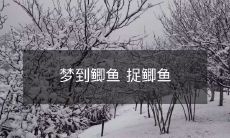 梦到鲫鱼 捉鲫鱼