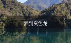 梦到变色龙