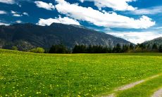 生肖蛇和生肖蛇配吗 经常产生相同兴趣话题