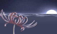 拉祜族节日,拉祜族的传统节日习俗