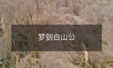 梦到白山公