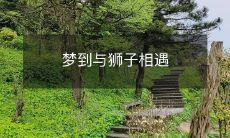 梦到与狮子相遇