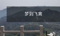 梦到飞禽