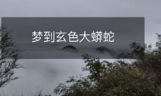 梦到玄色大蟒蛇