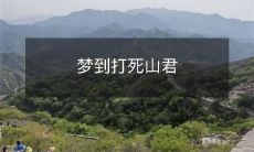 梦到打死山君