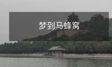 梦到马蜂窝