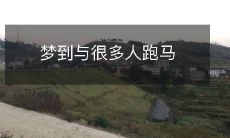 梦到与很多人跑马