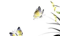 2023年3月27日适合开张吗 是大吉日子吗