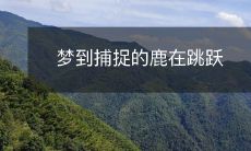 梦到捕捉的鹿在跳跃