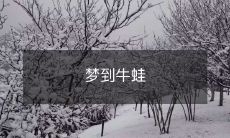 梦到牛蛙