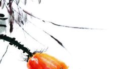 2023年2月8日店铺开张好吗 当日老黄历查询