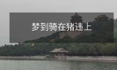 梦到骑在猪违上